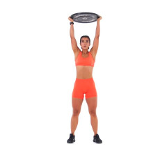 Plate Thruster 
  loading=
