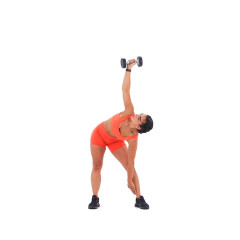 Dumbbell Windmills 
  loading=