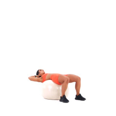 Exercise Ball Crunch 
  loading=
