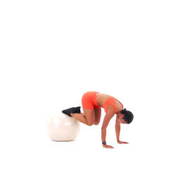 Exercise Ball Knee Tuck 
  loading=