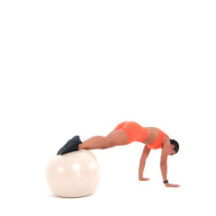 Exercise Ball Toe Taps 
  loading=