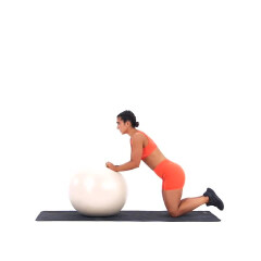 Exercise Ball Ab Rollout 
  loading=