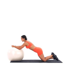 Exercise Ball Stir-the-pot (on Knees) 
  loading=