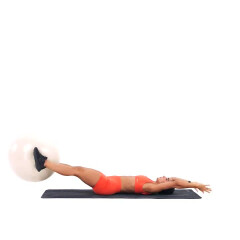 Exercise Ball Passes 
  loading=