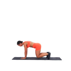 Contra-lateral Limb Lifts 
  loading=