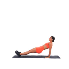 Reverse Plank Hold 
  loading=