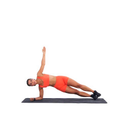 Side Plank Hold 
  loading=