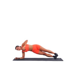 Forearm Plank to Side Plank Reach 
  loading=
