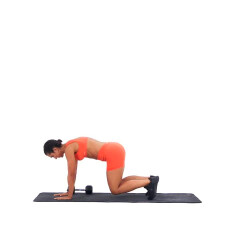 Plank Pull Through (Bear Position) 
  loading=