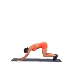 High Plank Sit Backs 
  loading=