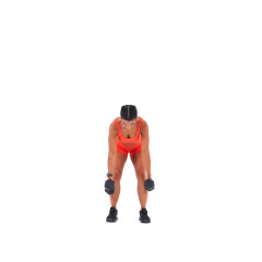 Bent Over Dumbbell Row 
  loading=
