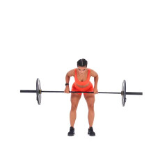 Barbell Bent Over Row (Pronated Grip) 
  loading=