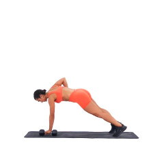 Dumbbell Renegade Row 
  loading=