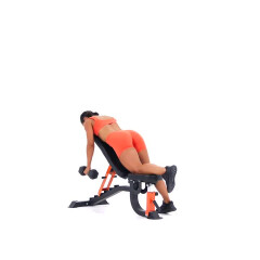 Chest-supported Dumbbell Row 
  loading=