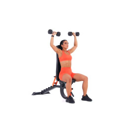 Seated Dumbbell Shoulder Press 
  loading=