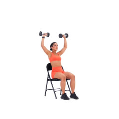 Seated Dumbbell Shoulder Press 
  loading=