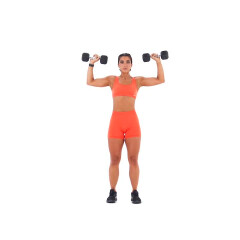 Dumbbell Shoulder Press 
  loading=
