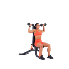 Seated Alternating Dumbbell Shoulder Press 
  loading=