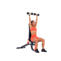 Seated Arnold Press 
  loading=
