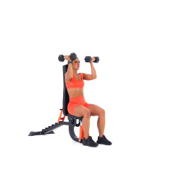 Seated Alternating Arnold Press 
  loading=
