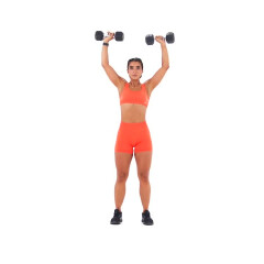 Standing Arnold Press 
  loading=