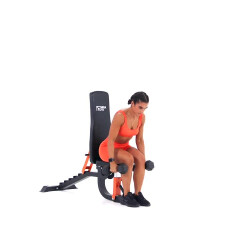 Seated Dumbbell Lateral Raise 
  loading=