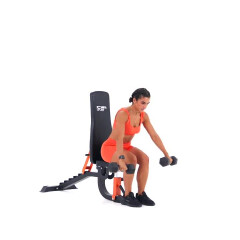 Seated Dumbbell Lateral to Front Raise 
  loading=