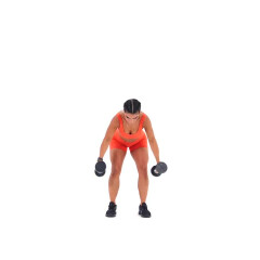 Dumbbell Rear Delt Flye 
  loading=