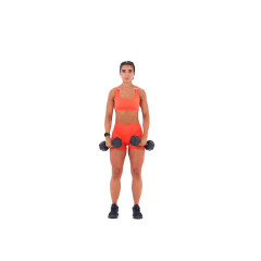 Standing Dumbbell Lateral Raise 
  loading=