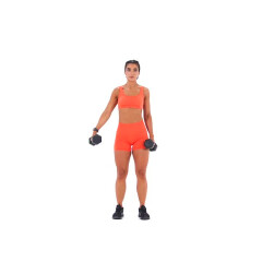 Single-Arm Dumbbell Lateral Raise 
  loading=