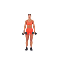 Standing Dumbbell Lateral to Front Raise 
  loading=