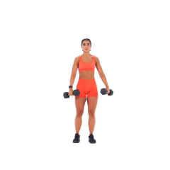 Dumbbell Lateral-Front Raise 
  loading=
