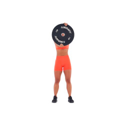 Plate Twists 
  loading=