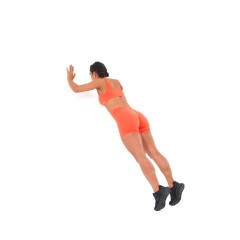Wall Press Up 
  loading=