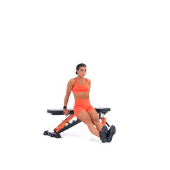 Tricep Dip (Straight Legs) 
  loading=