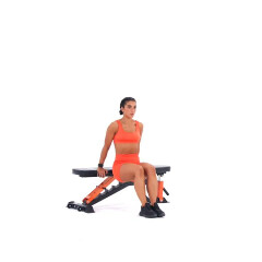 Tricep Dip (Bent Legs) 
  loading=