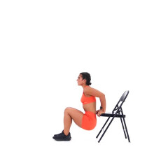 Tricep Dip (Bent Legs) 
  loading=