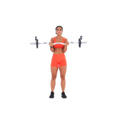 Barbell Bicep Curl 
  loading=