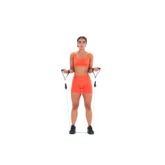 Resistance Band Bicep Curl 
  loading=