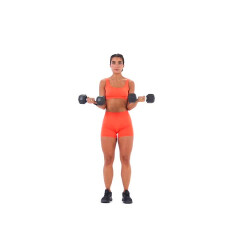 Standing Supinated Dumbbell Curl 
  loading=