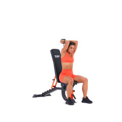 Seated Overhead Tricep Extension 
  loading=