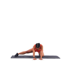 Quadruped Adductor Rockbacks 
  loading=