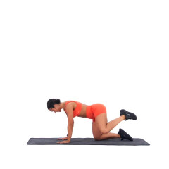 Quadruped Hip CAR 
  loading=