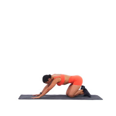 Posterior Hip Capsule Mobilisation 
  loading=