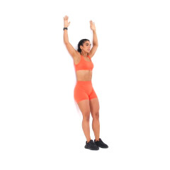 Wall Slides 
  loading=