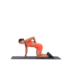 Quadruped Thoracic Rotations 
  loading=