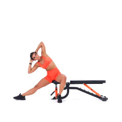 Seated Lateral Flexion 
  loading=