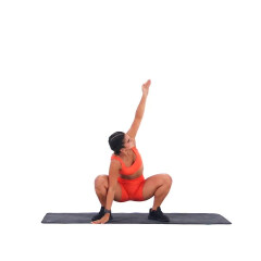 Squat with T-Spine Rotation 
  loading=