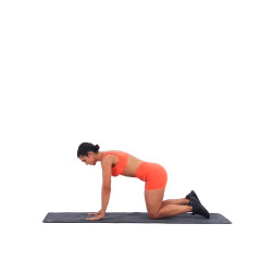 Palm Lifts 
  loading=