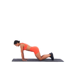 Reverse Wrist Rocks 
  loading=